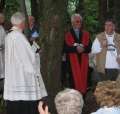 Einw_28_IMG_0574